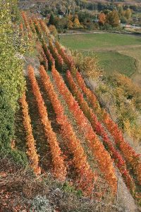 Ancora uno scorcio dalla Valle d'Aosta